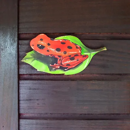 The Lodge At Punta Rica- Hilltop Eco-Lodge With Views & Pool Bastimentos Room photo