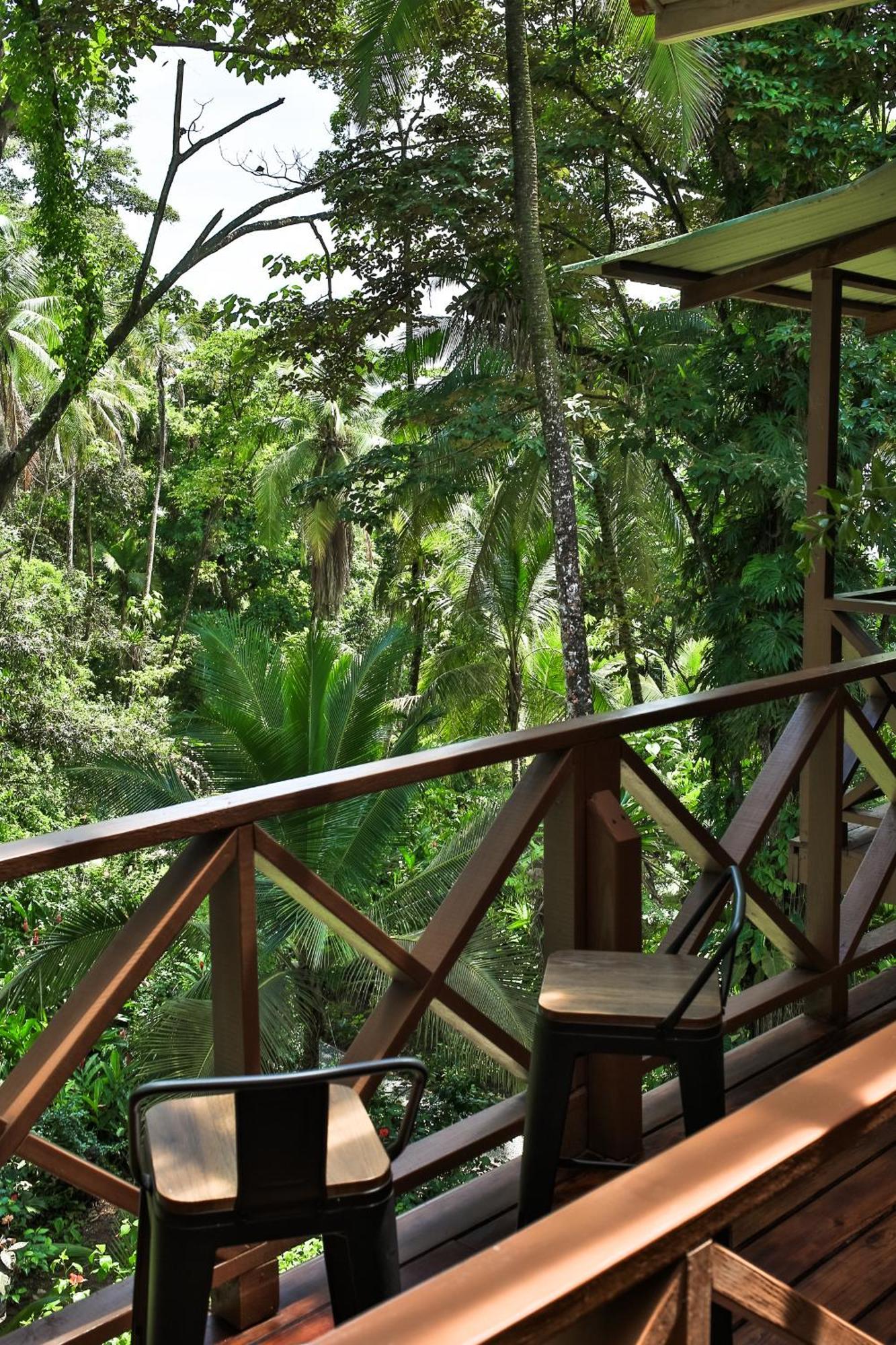 Bed & Breakfast The At Punta Rica- Hilltop Eco-lodge With Views & Pool Bastimentos